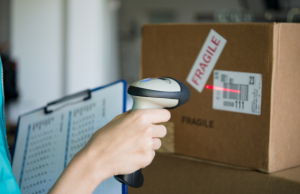 Untitled design – 2025-01-02T103525.789 Untitled design - 2025-01-02T103525.789